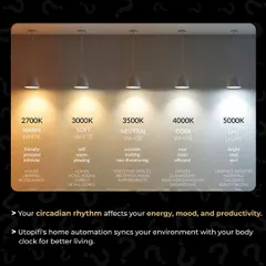 We install circadian rhythm lighting that syncs with your body's natural clock. This technology adjusts the color temperature throughout the day, from cool, energizing light in the morning to warm, relaxing light in the evening, helping to improve your energy, mood, and sleep quality.