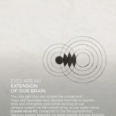 The eyes are an extension of our brain. This graphic explains the deep connection and how practices like Trataka and eye palming can nourish and relax the entire nervous system.