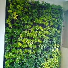 A full-scale bio-wall installed indoors, featuring a mix of pothos and other leafy plants. We design these walls with varied textures and shades of green to create a rich, natural tapestry.