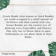 This graphic explains what a Green Bomb is. Also known as a seed bomb, it's a ball of seeds, fertilizer, and clay that makes planting incredibly easy, whether in your garden or in open public spaces.