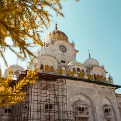 A low-angle shot of the Golden Temple in Amritsar, using tree branches to frame the magnificent structure. Finding creative angles is key to my travel photography.