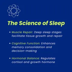 Delving into the science of sleep, this infographic explains its critical functions. We educate our athletes that deep sleep is essential for muscle repair, cognitive function like decision-making, and the regulation of key hormones like cortisol and growth hormone.