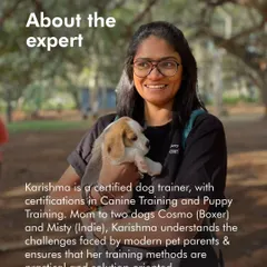 Meet Karishma, a certified dog trainer who leads our fun and active in-person events like the Swimming Camp. As a mom to a Boxer and an Indie, she understands the challenges modern pet parents face.