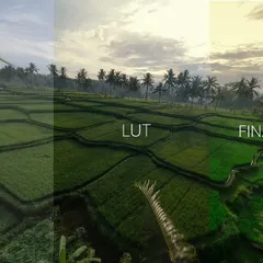 This is the power of color grading. See the transformation from the flat RAW file, to the initial LUT application, to the Final Grade that creates a specific mood and cinematic quality.