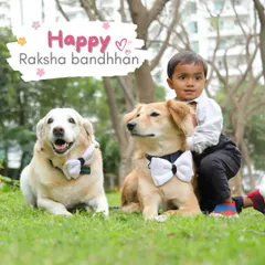 A happy Raksha Bandhan portrait of a young boy with his two furry siblings, all dressed in matching bowties for the special occasion.