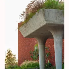 I often use ornamental grasses to add softness and movement to a design. Here, they contrast beautifully with the solid concrete columns, demonstrating how landscape can complement and enhance architectural features.