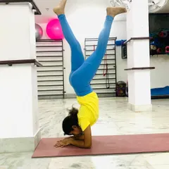 A student holding a steady Pincha Mayurasana (Forearm Stand), demonstrating shoulder strength and balance.