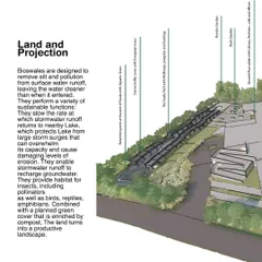 A projection showing how bioswales are integrated into the landscape design. These features slow and filter stormwater, prevent erosion, recharge groundwater, and provide critical habitat for insects, birds, and amphibians.