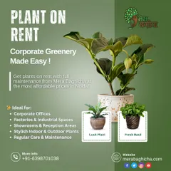 I make corporate greenery simple with my plant rental and maintenance service. This is a great, affordable option for offices, factories, and showrooms in Noida and Delhi NCR looking to boost their workspace environment without the stress of plant care.
