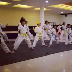 Our kids' class is pumped up and ready to learn. We teach the art of karate with sincerity, ensuring every child builds a strong foundation in a group setting.