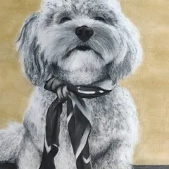I loved capturing the dignified and slightly sleepy expression of this dapper dog. The little details, like the texture of the fur and the stylish scarf, are what make a hyper-realistic pet portrait truly special.