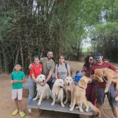 Group photos from a 'Dog's Day Out' at an organic farm. It's amazing to see so many people and dogs of different breeds enjoying a day in nature together.