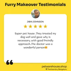 A friendly approach and necessary care are central to how we operate. We're thrilled this customer felt their dog was treated well by our wonderful doctor.