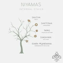 The Niyamas are the second limb, focusing on internal ethics and personal observances like purity (Saucha), contentment (Santosha), and self-study (Svadhyaya).