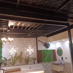 A finished project in Najafgarh showing a variety of textures: a 3D geometric wall, vertical gardens, stone cladding, and a decorative guitar wall piece.