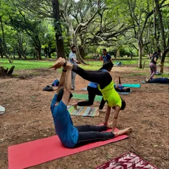 A moment of connection and trust during a partner yoga session in a park. This AcroYoga pose demonstrates the playful and community-oriented side of our practice, building strength and balance together.