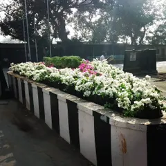 We take on large-scale public projects, like designing and planting these road islands for the city. This installation uses flowering bougainvillea and jasmine to bring beauty and nature to urban infrastructure.