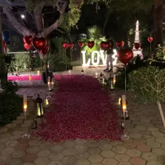 This expansive outdoor proposal scene showcases a long, dense path of red rose petals flanked by candles and red heart-shaped foil balloons. In the distance, our large, illuminated "LOVE" letters provide a stunning backdrop.