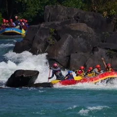 The thrill of whitewater rafting in Dandeli is unmatched. Here, a team navigates the powerful rapids of the Kali River. I ensure you have expert guides and top-notch safety gear for this exhilarating adventure.