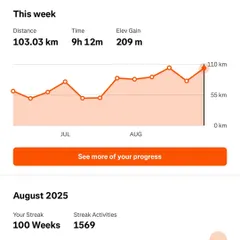 This weekly progress chart shows over 100 km of running in a single week, part of a 100-week streak. I use this data to monitor training load and ensure consistency, which is the foundation of my marathon coaching philosophy.