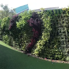 This outdoor vertical garden uses a mix of imported plants to create a colorful and diverse living wall. It's a fantastic way to add a lot of greenery to a space with a small footprint.