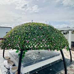 A full view of the completed artificial greenery dome on a rooftop. This structure is ready to become a centerpiece for relaxation or entertainment, offering shade and beauty without the hassle.