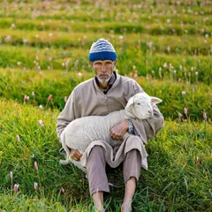I met this shepherd in the highlands of Kashmir. This portrait is about more than just a face; it's about capturing a story of resilience and a deep connection to the land, showing the kind of authentic human stories I love to document.