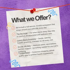What do we offer? This graphic lists our full suite of services, including The Pet Hotel, Luxury Spa & Grooming, an on-site vet clinic, and curated retail. We've built a mindful ecosystem that wraps around your pet's life.