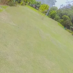 This image shows the result of our work on a large, sloping lawn. We have the right techniques to manage mowing on uneven surfaces, ensuring a uniform finish across the entire area.