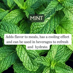 Mint is more than just a garnish. It has a natural cooling effect and adds refreshing flavor to beverages and meals, helping you stay hydrated and refreshed.