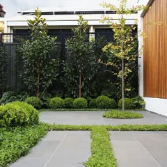 This image shows another example of our creative hardscaping, where strips of ground cover are used to break up a large paved area. This design adds visual interest, improves drainage, and introduces more green into the garden floor.