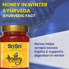 Here's an Ayurvedic fact about honey I love to share. This image shows a jar of pure Sri Sri Tattva Honey, explaining how it helps scrape excess Kapha and supports digestion, especially during the heavy winter months.