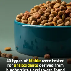 Many kibble brands advertise blueberry antioxidants, but a study of 40 brands found those levels to be minimal to nonexistent. The high-heat processing destroys the nutrients, which is why adding fresh blueberries or using minimally-processed food is the only way to get the real benefits.