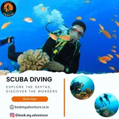 Dive into a different world with our guided scuba diving trips. This image showcases the vibrant marine life you can encounter as you explore the calm and beautiful depths. We handle all the equipment and guidance, so you can just focus on the wonder.