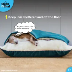 A warm and cuddly winter bed is a must-have. I offer cave beds and other cozy options to give your pet a sheltered spot off the cold floor where they can feel safe and snug.