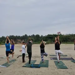 Finding stability in Vrikshasana, or Tree Pose, on the sand is a beautiful challenge. It forces a deeper engagement of the core and improves focus. Here you can see a group class embracing the moment together.