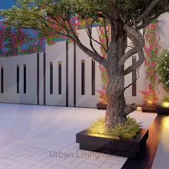 This design for the Aligarh residence focuses on a grand driveway and entrance. A mature feature tree serves as a focal point, complemented by modern wall designs and strategic uplighting to create a dramatic first impression.