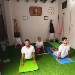 A full class with students in various poses like cobra and headstand. It shows that in my classes, everyone works at their own level.