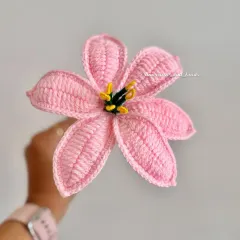 Here is a single baby pink lily, held up to show the six individual petals and the contrasting yellow and green stamen. Each one is a little piece of art.