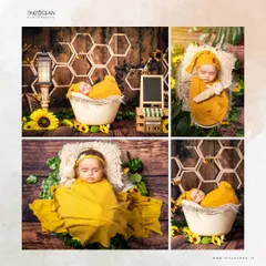 A collage showcasing our popular honeybee theme. It displays multiple angles and poses, from the full setup with sunflowers to close-ups of the baby sleeping peacefully in yellow wraps.