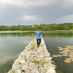 A wider view of the beautiful stone path that stretches into the lake, surrounded by lily pads.