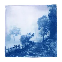 An example of the beautiful, atmospheric art you can create in our cyanotype workshops. This piece, a misty path through the trees, shows the rich tonal range and poetic quality of sun printing, an alternative photography process we love to teach.