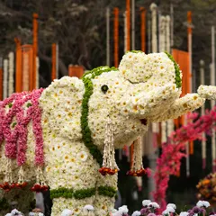 A close-up of the magnificent floral elephant, crafted from white daisies and adorned with a saddle of pink flowers. This installation was a major photo attraction and a beautiful nod to Indian tradition within a modern boho theme.