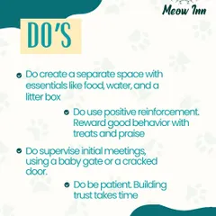 When introducing a new cat, here are the essential things you should do. Creating a separate, safe space and using positive reinforcement are key steps to building trust and a lasting bond.