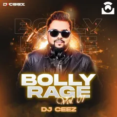 This is the official cover for my album, "Bolly Rage Vol. 1". I see myself not just as a DJ, but as a producer creating complete musical products, and this album is a collection of my best club-ready edits and mashups.