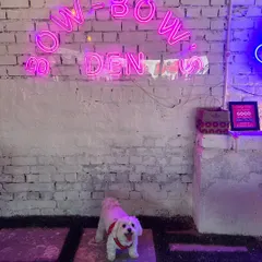A happy Maltese poses in front of our neon "Bow Bow's Den" sign. Our facility has plenty of fun, photo-worthy spots that make for great updates to send to pet parents.