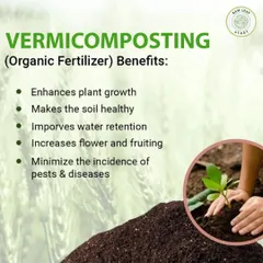 Vermicomposting, or using worms to create organic fertilizer, is a cornerstone of our farm's health. This natural process enriches our soil, improves water retention, and helps our plants resist pests and diseases without chemicals.