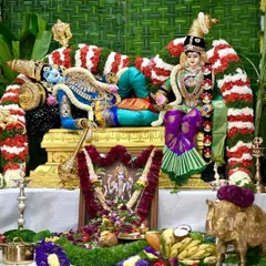 A wider view of the divine setting for the Varamahalakshmi pooja. The saree on the Goddess is the centerpiece of the sacred decorations.