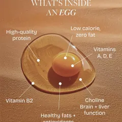 An egg is a perfect package of nutrition. This visual breaks down its contents, showing high-quality protein, essential vitamins like A, D, and E, and choline for brain function. It's a simple, low-calorie food with incredible benefits.