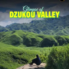 A moment of peace in Nagaland's Dzukou Valley. My trips are not just about adventure; they are also about finding quiet moments like this to connect with nature and yourself.